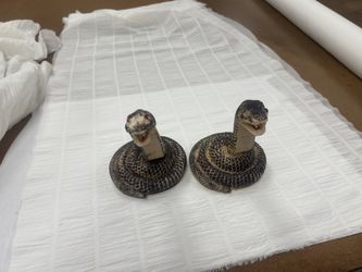 Two Plastic Snakes 