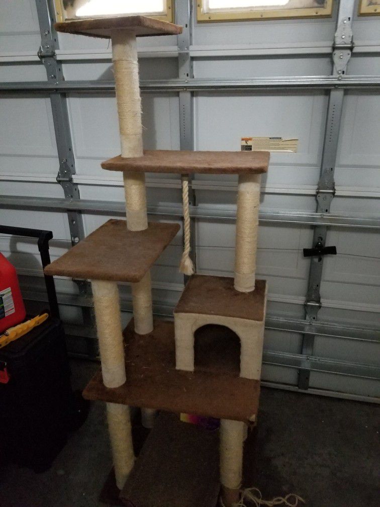 Cat Trees And More