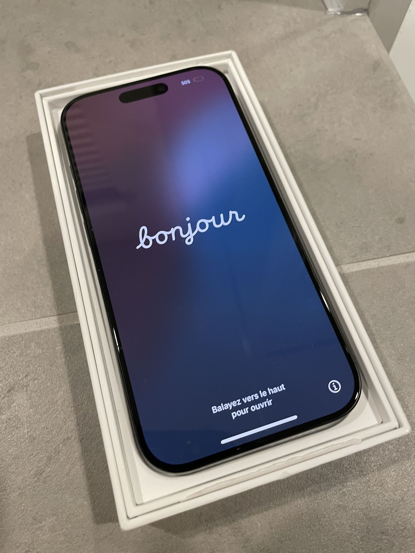 iPhone 16 Pro 256 GB