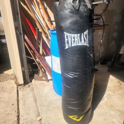 Everlast Heavy Bag
