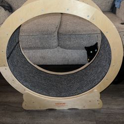 Exercise Wheel For Cats