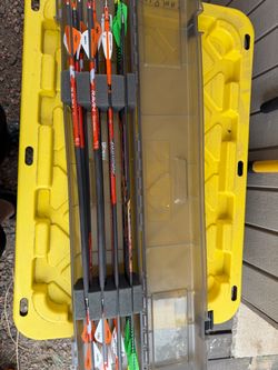 Arrows and cases