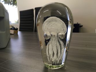 Octopus in glass