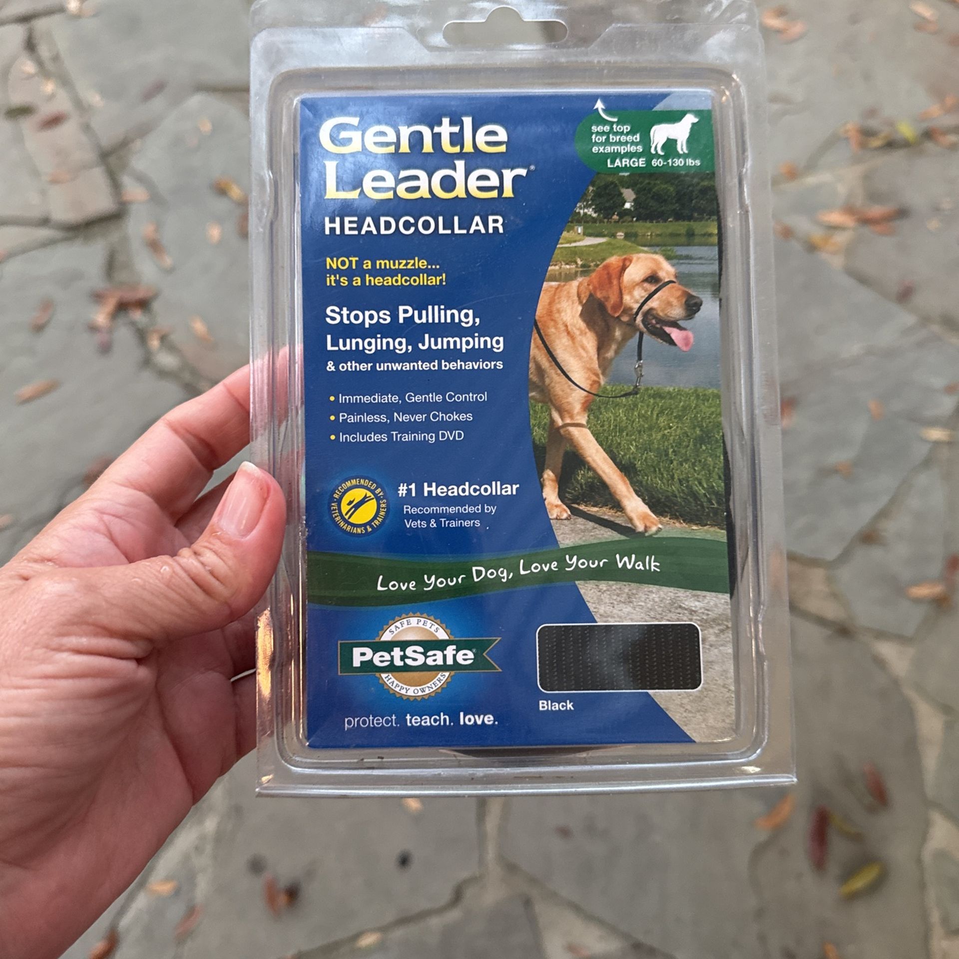 Gentle Leader Collar