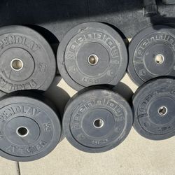 PENDLAY Bumper Plates