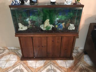 60 gallon fish tank w/accessories