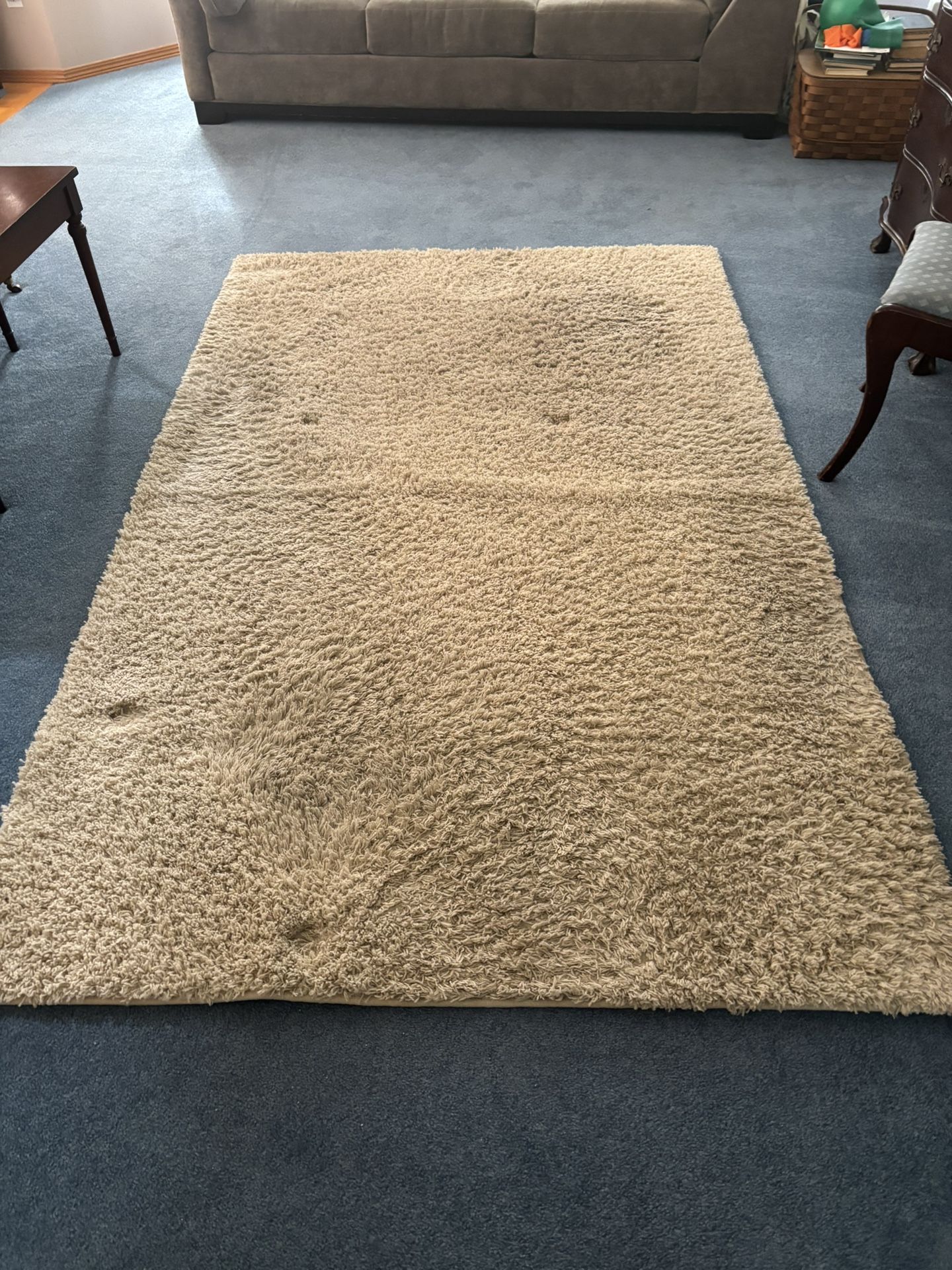 8 x 5 White Shag Area Rug