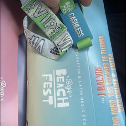 Baja Beach Fest 
