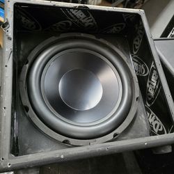 12” Passive Subwoofer Speaker