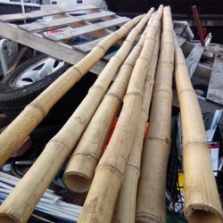 Seven Pieces Of  10' Ft Long  Bamboo Great For Any Projects  Random 3" To  4" In Diameter  ! $60  For All 