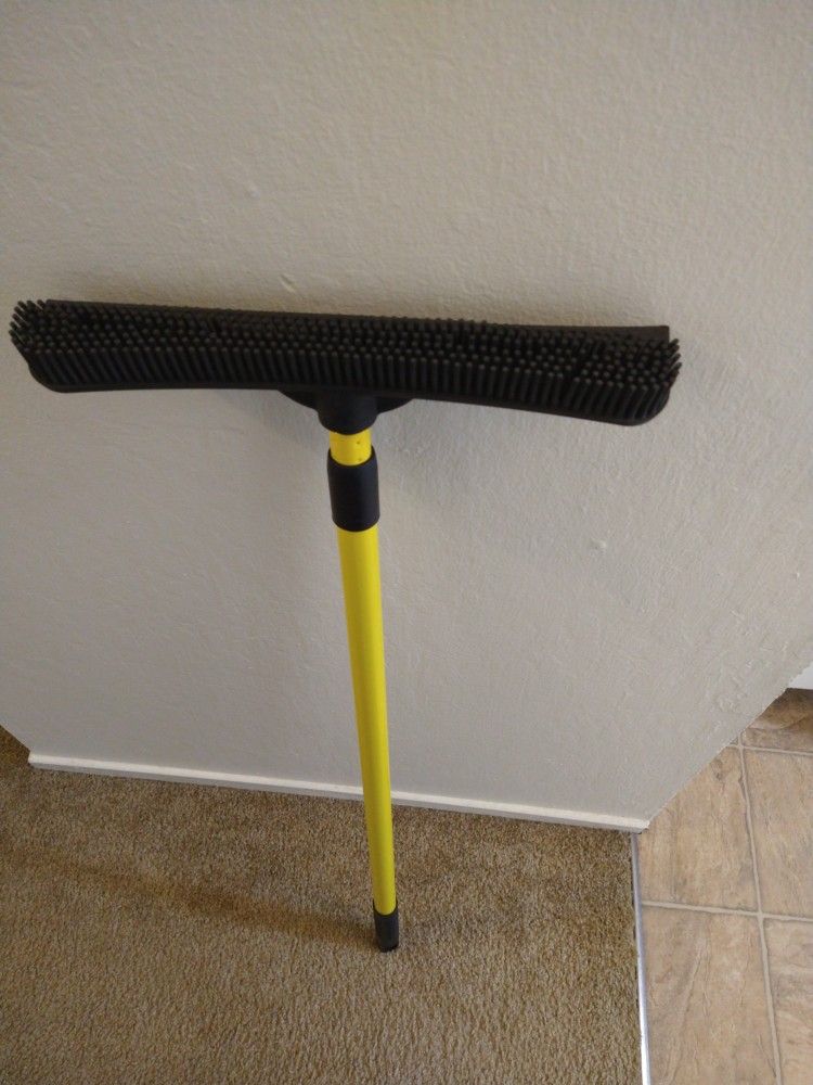 FURemover Pet Hair Remover Carpet Rake for Sale in Hayward, CA OfferUp