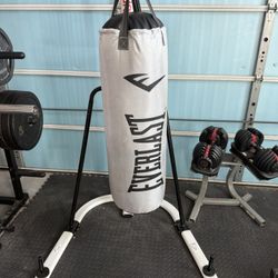 Punching Bag 