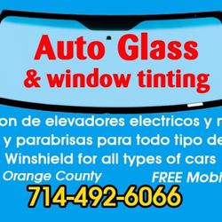 Auto Glass