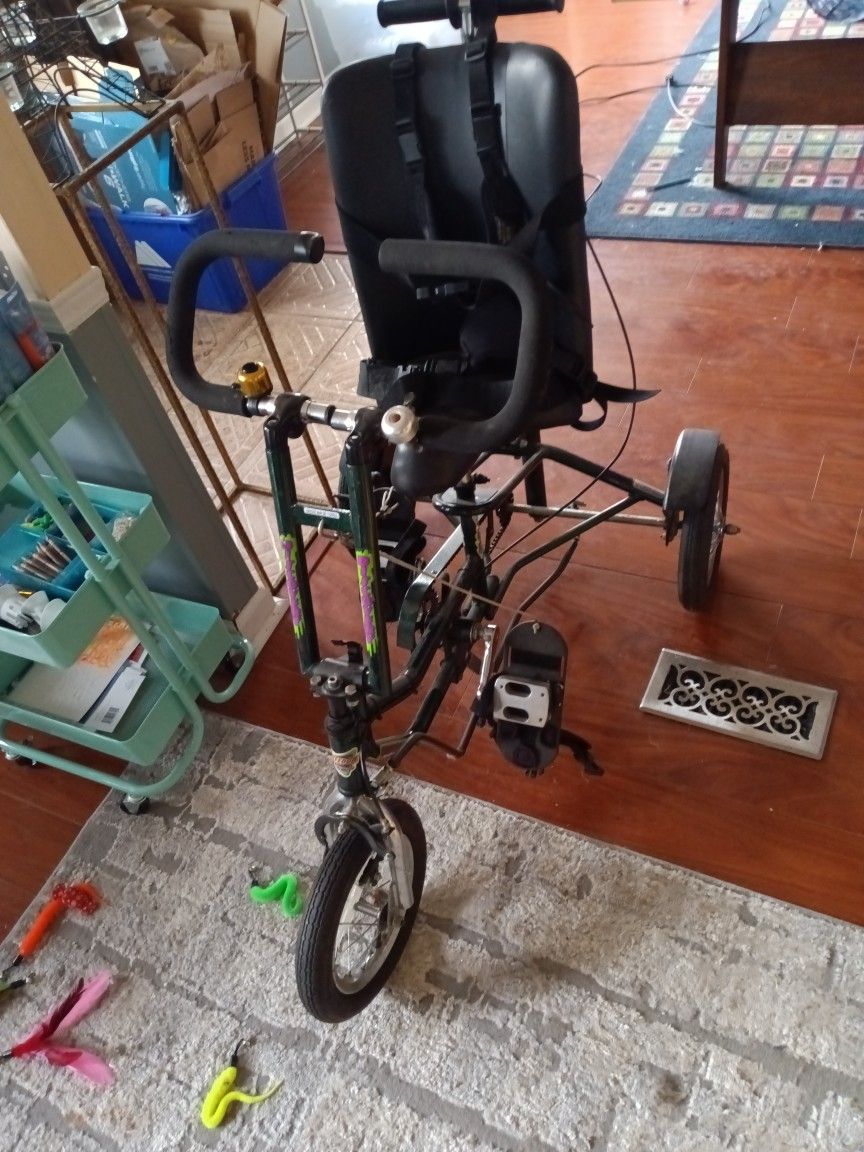 Adaptive Bike For Children 