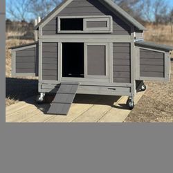 Chicken Coop 