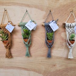 SET of 4 New Macrame wall plant hangers beige/gray/tan/sage Birthday gifts