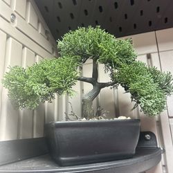 Plastic Bonsai Tree
