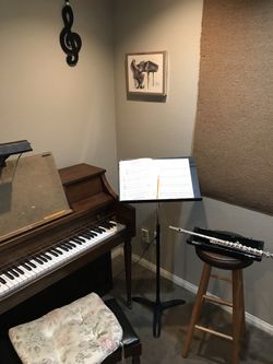 Flute Lessons For All Ages !