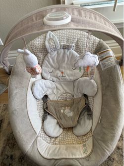 Ingenuity baby bouncer chair