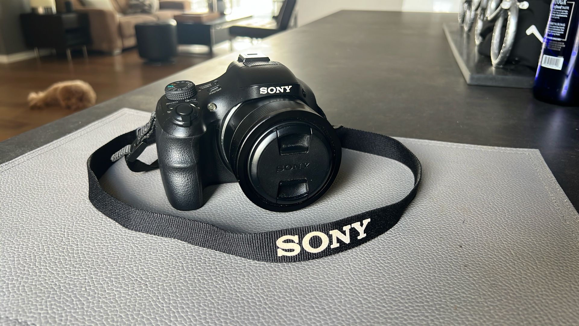Sony Camera