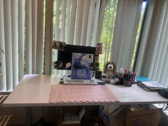 Electric standing desk