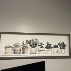 Succulent plants painting frame