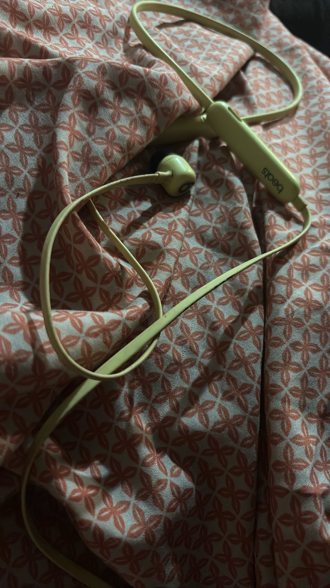Dr.Dre Beats Flex Earbuds