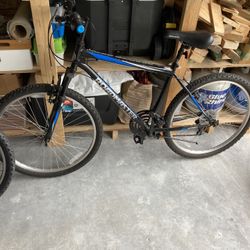 Mountain Bike   Kept Indoors 