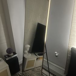 65"x22" Full Length Mirror Free Standing Leaning Mirror Hanging