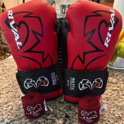 RS11V-Red-14oz - RS11V EVOLUTION SPARRING GLOVES