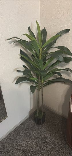 Artificial plant