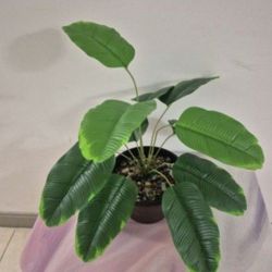 *** NEW LOW PRICE *** Faux Potted Plant Sealed with Mixed Colored Stone @ Lasting Creations