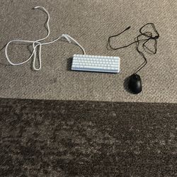 Razor huntsman mini keyboard and razer mouse