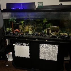 Large Fish Tank And Table