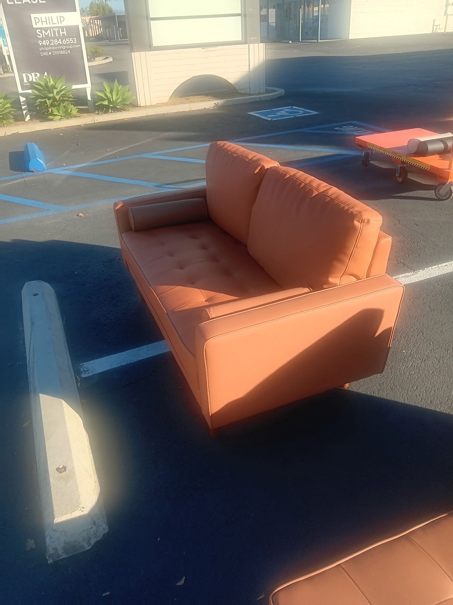 Tangerine Leather Couch