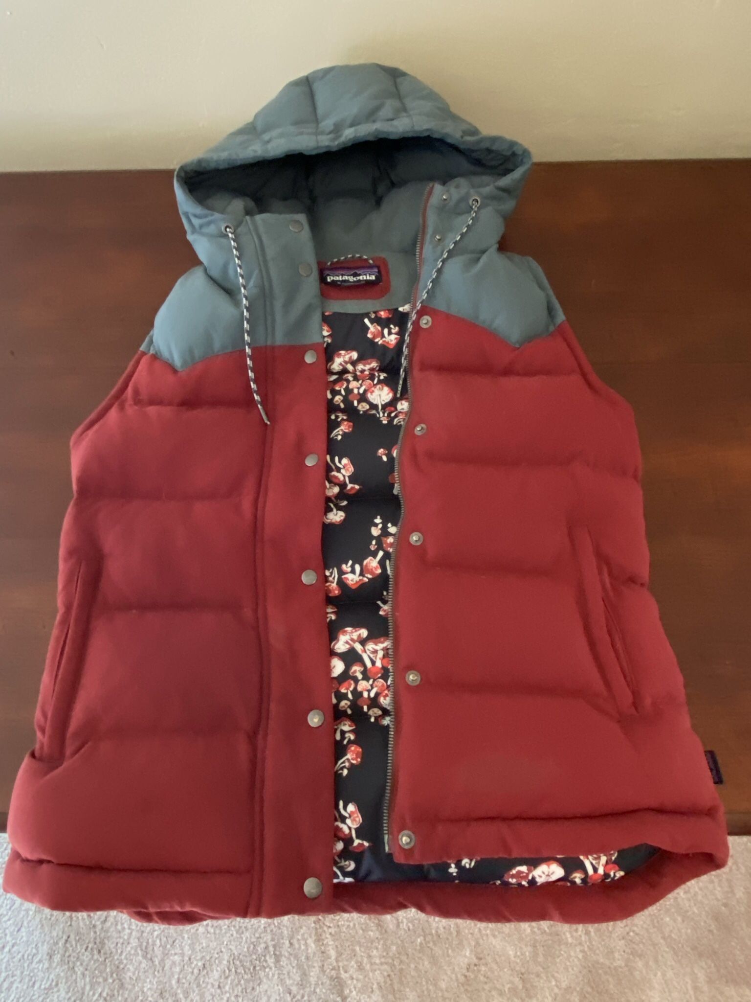 Patagonia Hooded Vest