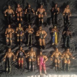18 WWE Action Figures 