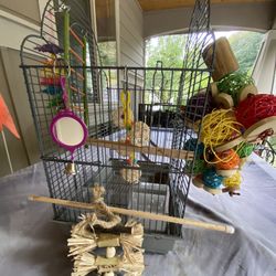 Bird Cage