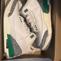 Jordan 3s 