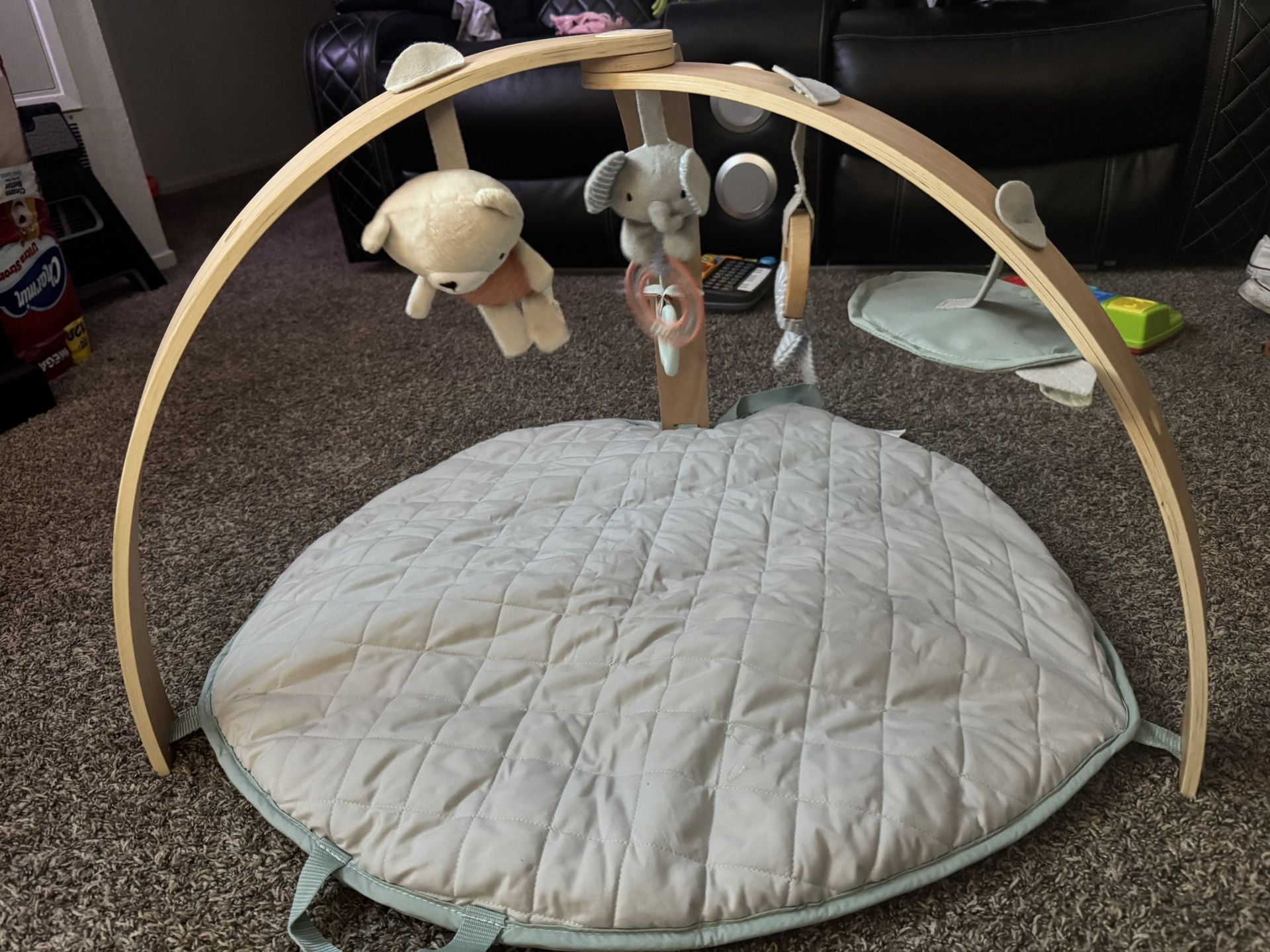 Baby Play Mat