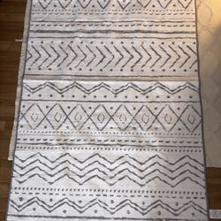 4X6 Area Rug
