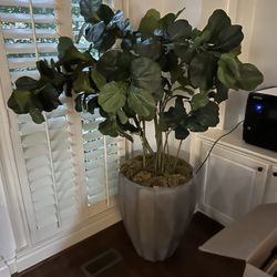 Fake Plant