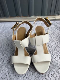 Size 6.5