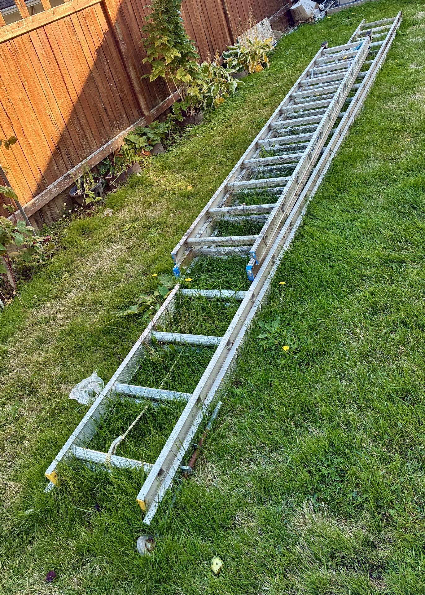aluminum ladder