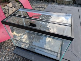 20 gallon tall aquarium