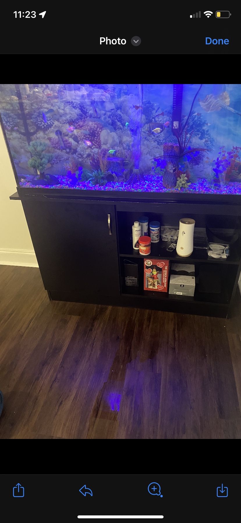 Fish Tank And Stand 