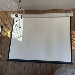 Projector Screen 