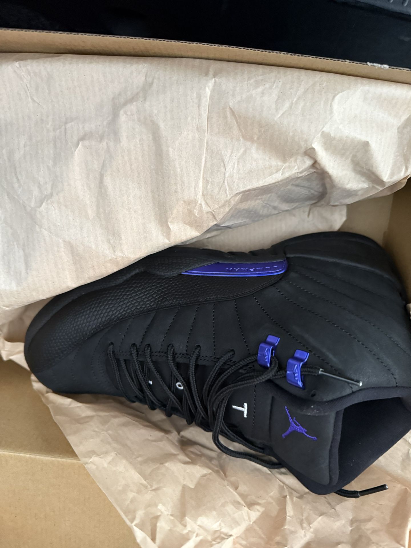 Jordan 12 Dark Concord