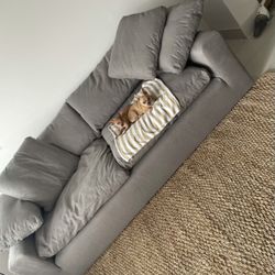 Grey Couch