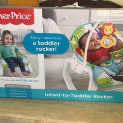 Infant To Toddler Rocker